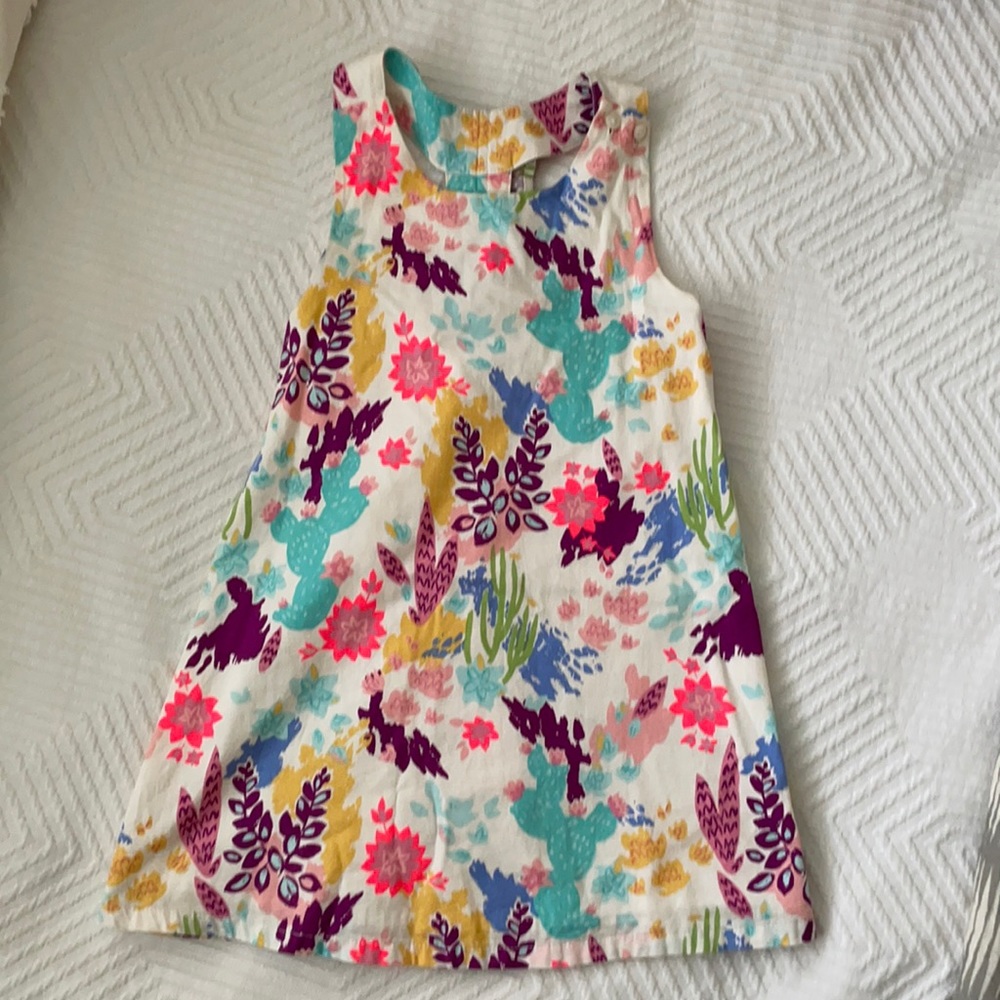 Girls 4T dress